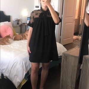 Perfect little black dress